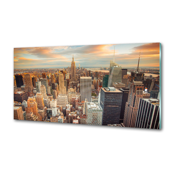 Panel lacobel New York vtáčie pohľad