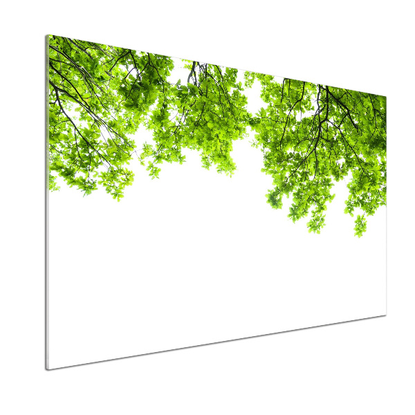 Dekoračný panel sklo Lístie duba