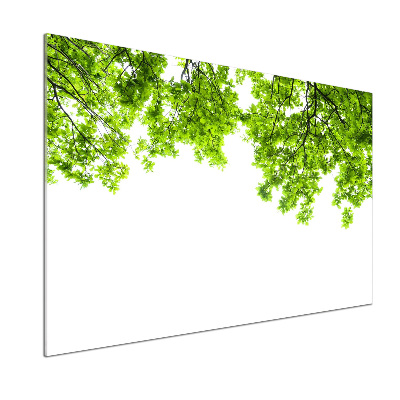 Dekoračný panel sklo Lístie duba