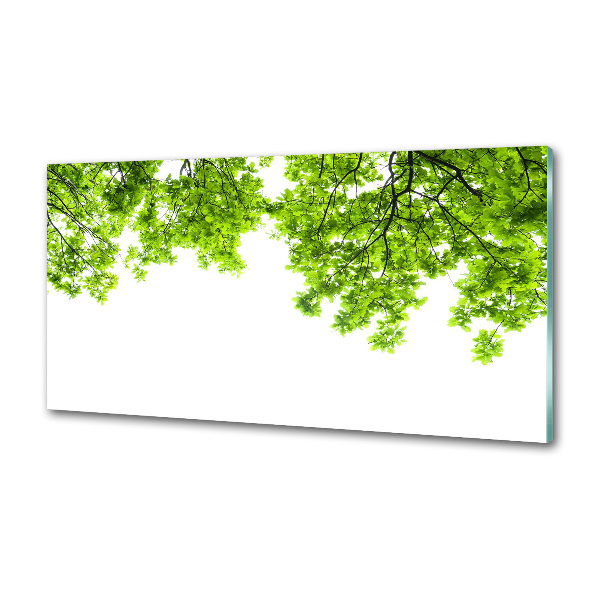 Dekoračný panel sklo Lístie duba