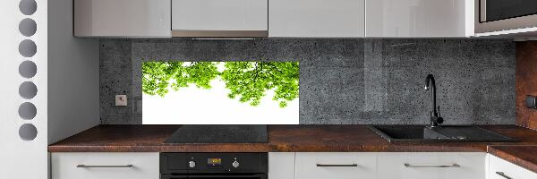 Dekoračný panel sklo Lístie duba