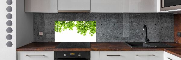 Dekoračný panel sklo Lístie duba