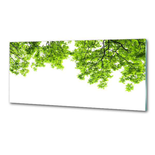 Dekoračný panel sklo Lístie duba