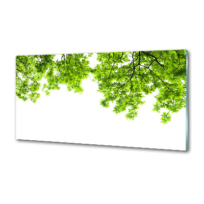 Dekoračný panel sklo Lístie duba