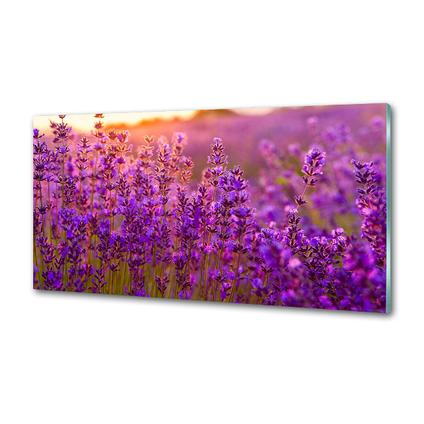 Dekoračný panel sklo Pole levanduľa