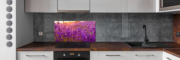 Dekoračný panel sklo Pole levanduľa