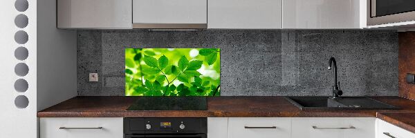 Panel do kuchyne Zelené lístie