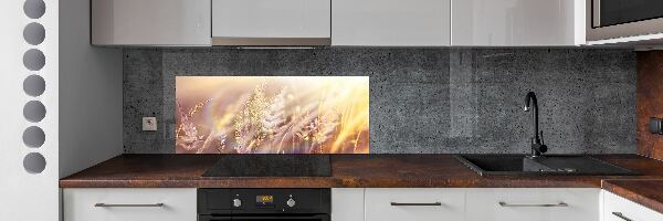 Dekoračný panel sklo Vysoká tráva