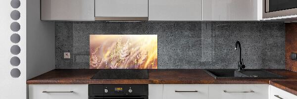 Dekoračný panel sklo Vysoká tráva