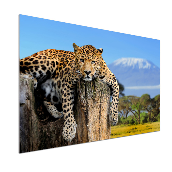 Panel do kuchyne Leopart na kmeni
