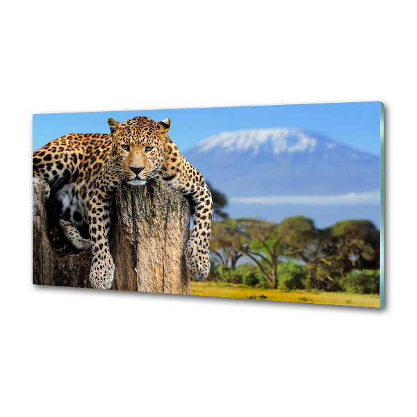 Panel do kuchyne Leopart na kmeni