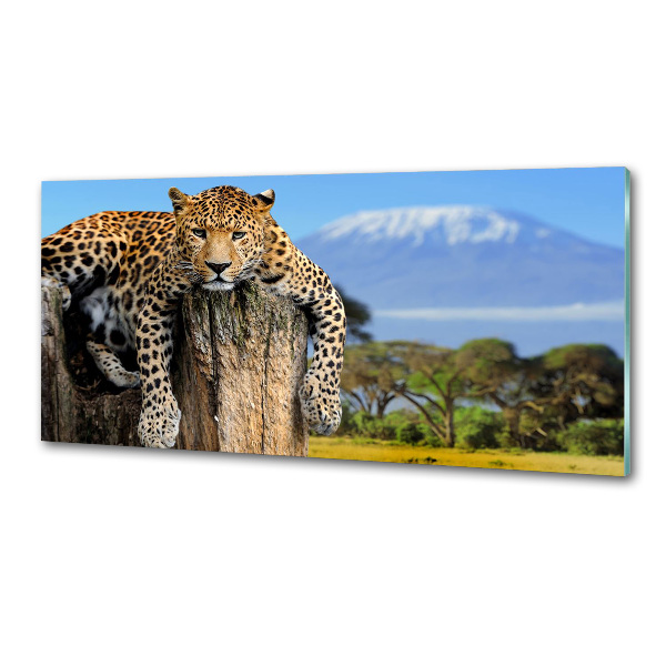 Panel do kuchyne Leopart na kmeni