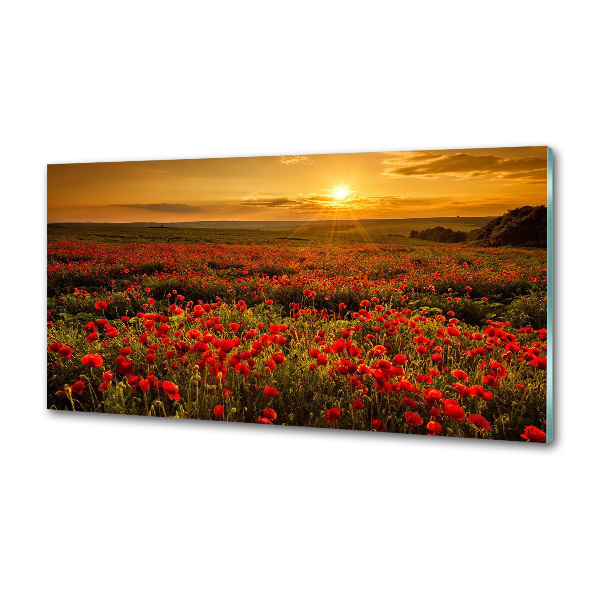 Dekoračný panel sklo Pole makov