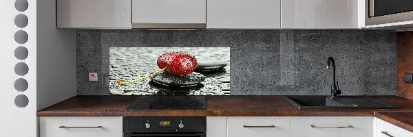 Panel lacobel Čerešňa v daždi
