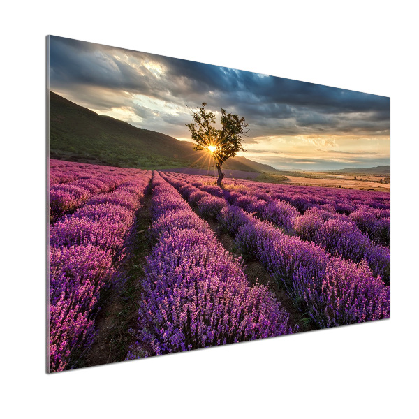 Dekoračný panel sklo Pole levanduľa