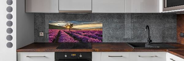 Dekoračný panel sklo Pole levanduľa