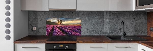 Dekoračný panel sklo Pole levanduľa