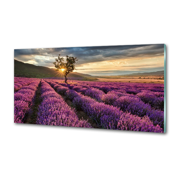 Dekoračný panel sklo Pole levanduľa