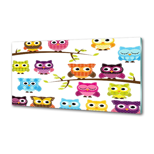 Panel do kuchyne Farebné sovy
