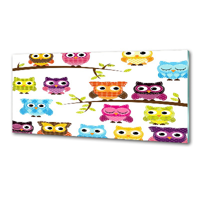 Panel do kuchyne Farebné sovy