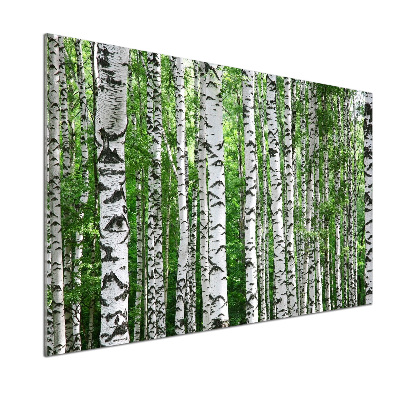 Sklenený panel do kuchyne Brezy