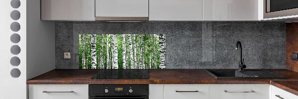 Sklenený panel do kuchyne Brezy