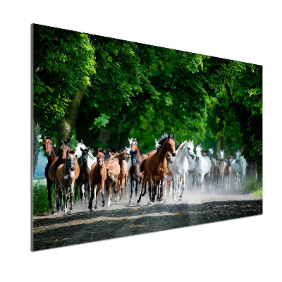 Panel do kuchyne Kone v cvale