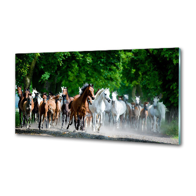 Panel do kuchyne Kone v cvale