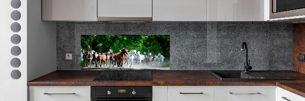 Panel do kuchyne Kone v cvale