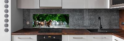 Panel do kuchyne Kone v cvale
