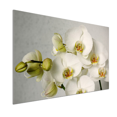 Panel do kuchyne Biela orchidea