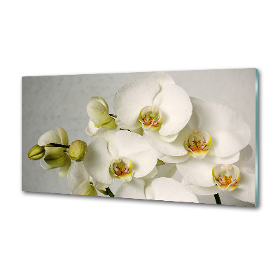 Panel do kuchyne Biela orchidea