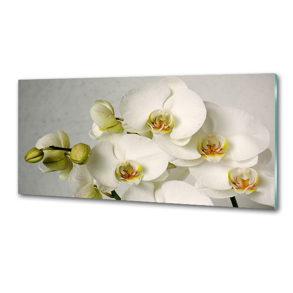 Panel do kuchyne Biela orchidea