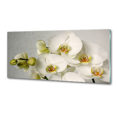 Panel do kuchyne Biela orchidea