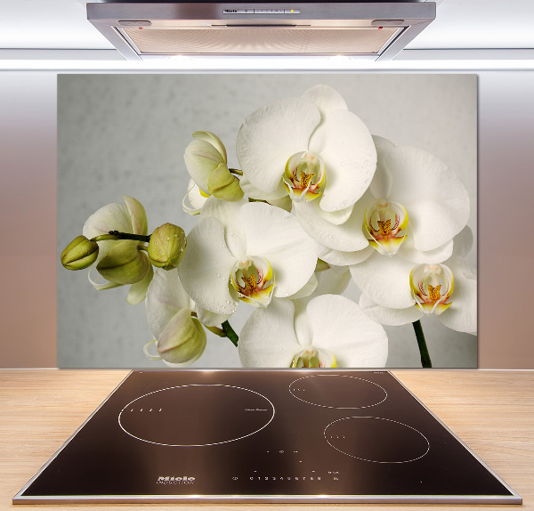 Panel do kuchyne Biela orchidea