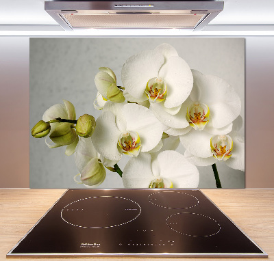 Panel do kuchyne Biela orchidea