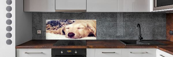 Panel do kuchyne Šteňatá a mačky