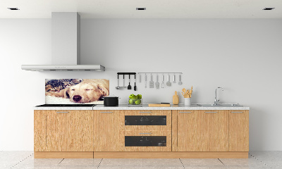 Panel do kuchyne Šteňatá a mačky