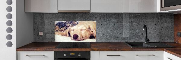 Panel do kuchyne Šteňatá a mačky