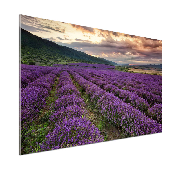 Dekoračný panel sklo Pole levanduľa
