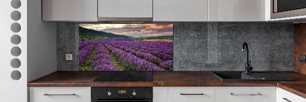 Dekoračný panel sklo Pole levanduľa