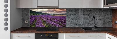 Dekoračný panel sklo Pole levanduľa