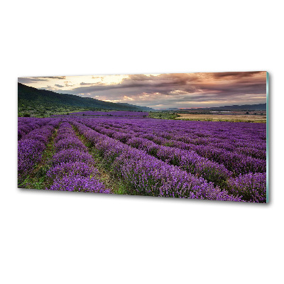 Dekoračný panel sklo Pole levanduľa