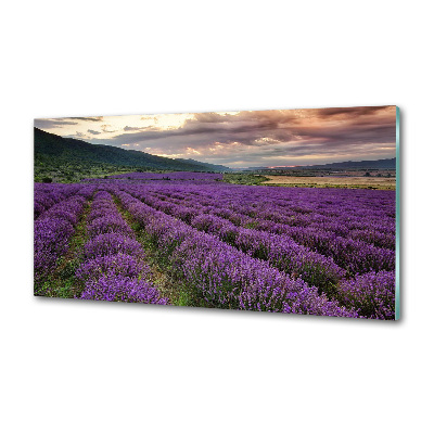 Dekoračný panel sklo Pole levanduľa