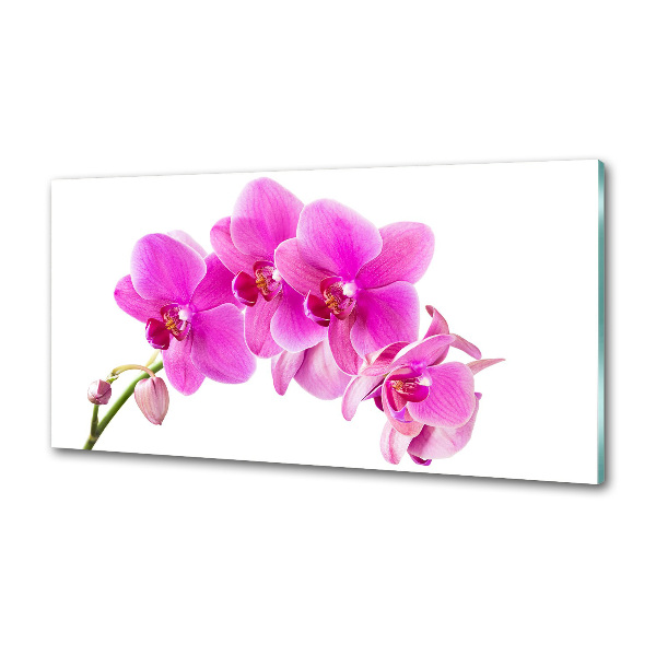 Panel do kuchyne Ružová orchidea