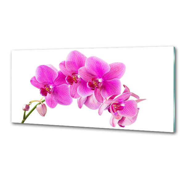 Panel do kuchyne Ružová orchidea