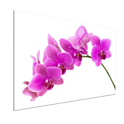 Panel do kuchyne Ružová orchidea