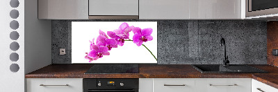 Panel do kuchyne Ružová orchidea