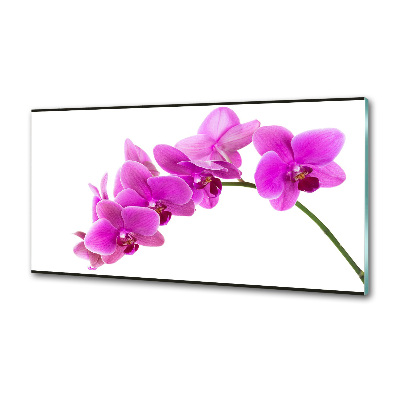 Panel do kuchyne Ružová orchidea