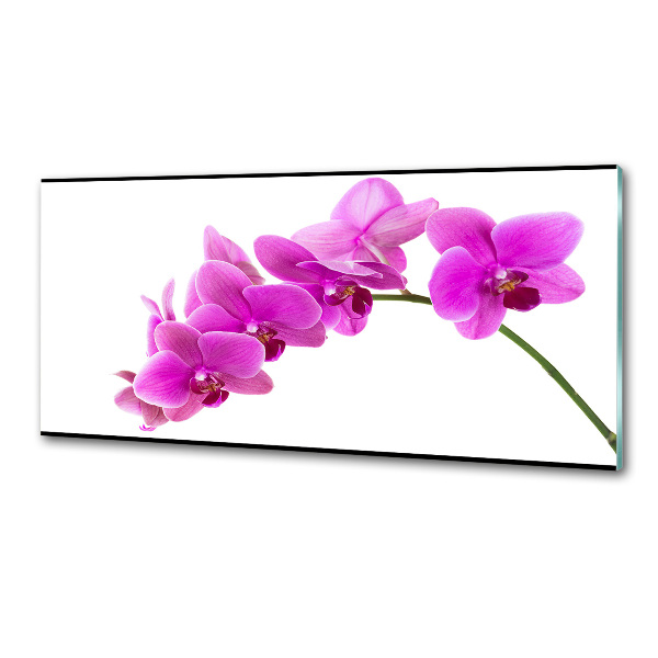 Panel do kuchyne Ružová orchidea